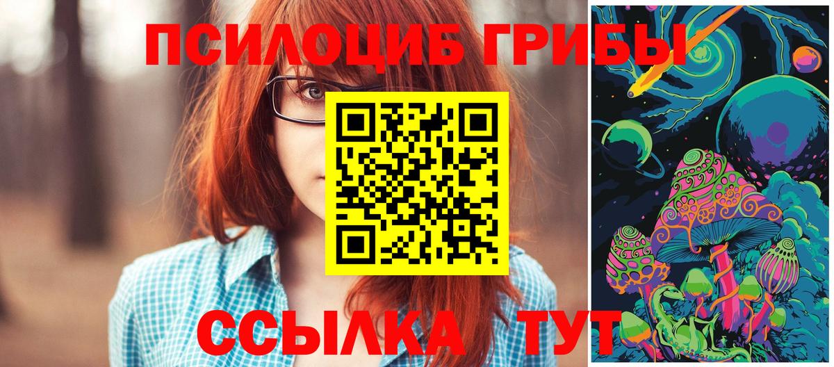 Псилоцибиновые грибы мухоморы  Псилоцибиновые грибы мицелий  Черняховск  Вход с VPN 