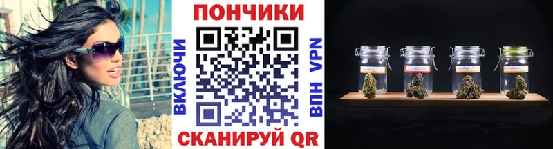 Конопля индика  mega ССЫЛКА  Черняховск 